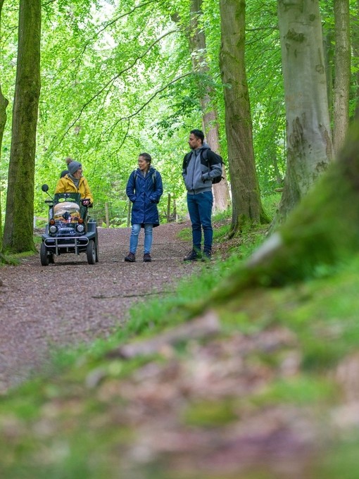 A man and two women enjoy the outdoors in woodland
