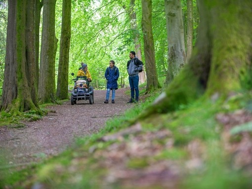 A man and two women enjoy the outdoors in woodland