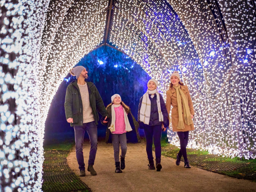 Christmas Cathedral at Leeds Castle. Image by Richard Haughton for Sony Music