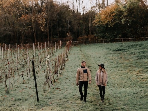 A man and woman walking in a vineyard