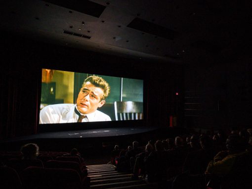 People watching a film in a cinema