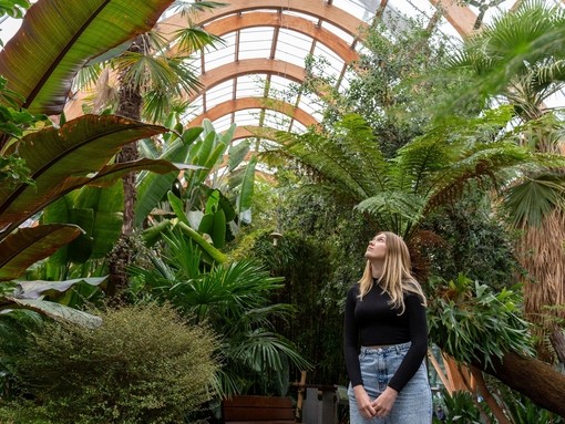 A woman walking past plants in a large temperate glasshouse