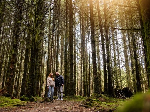 A man and a woman stand among tall trees in a forest