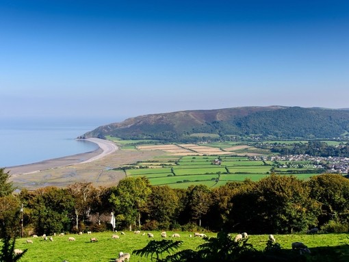 View of the coast with sheep grazing nearby