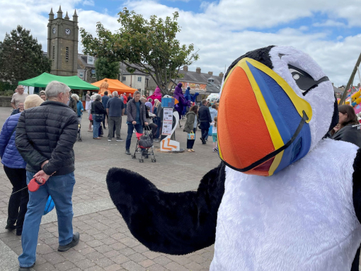 Amble Puffin Festival