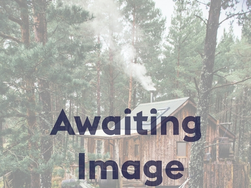 Awaiting image