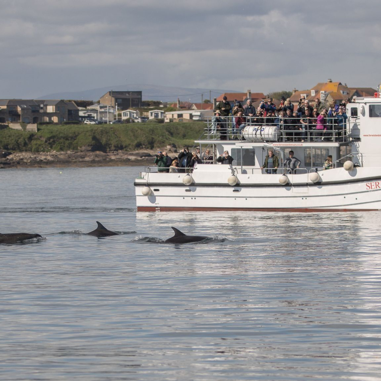 The Serenity IV boat from Serenity Farne Island Boat Trips, Northumberland.