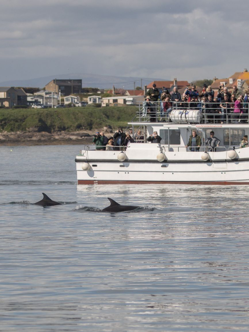 The Serenity IV boat from Serenity Farne Island Boat Trips, Northumberland.