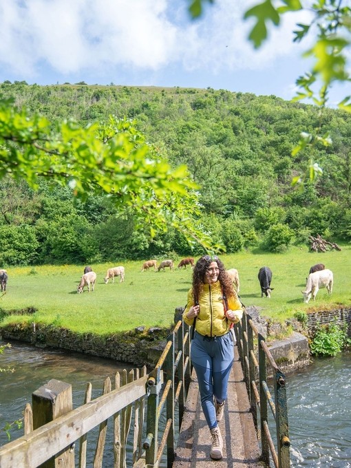 A woman walks across a wooden bridge with a field with cows beyond