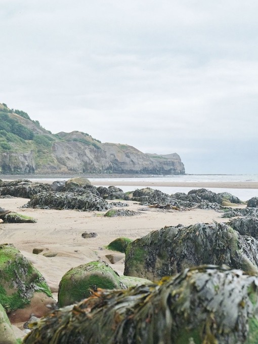 Man and woman on the beach